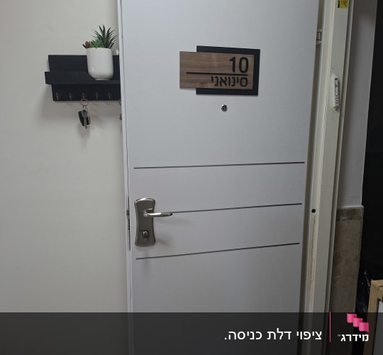 דלת לבנה עם שלט מספר 10 וסוקולנט קטן